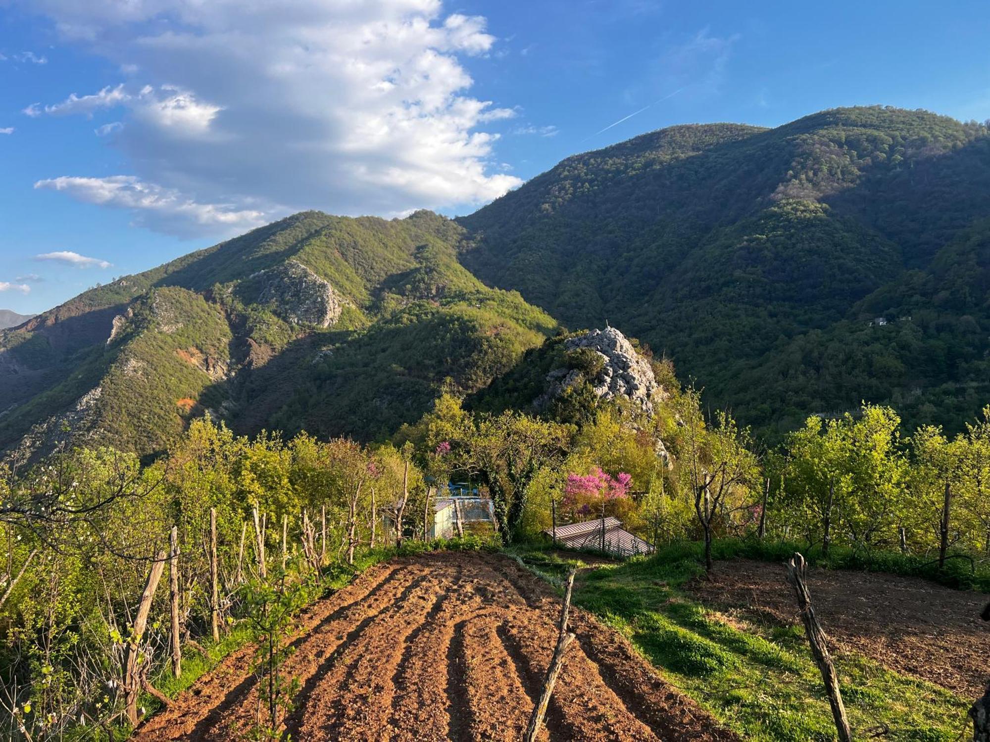 Séjour à la ferme Baven -toven Naturae *